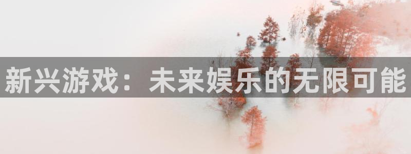 星欧娱乐什么意思：新兴游戏：未来娱乐的无限可能