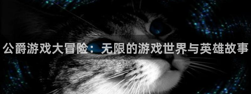 星欧娱乐网址官网：公爵游戏大冒险：无限的游戏世界与英雄故事