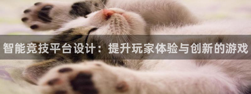 星欧娱乐登录：智能竞技平台设计：提升玩家体验与创新的游戏