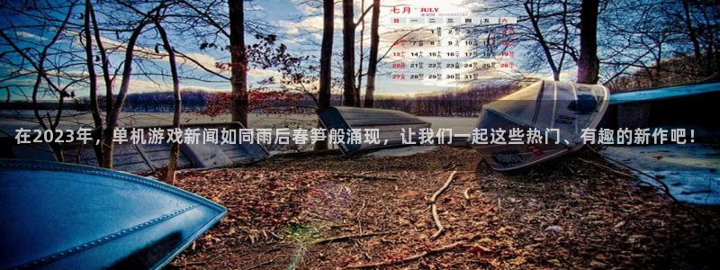 星欧娱乐app下载|下载地址：在2023年，单机游戏新闻如同