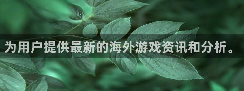 星欧娱乐登录：为用户提供最新的海外游戏资讯和分析。