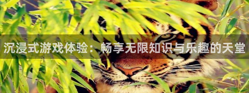 星欧娱乐官方登录网址：沉浸式游戏体验：畅享无限知识与乐趣的天